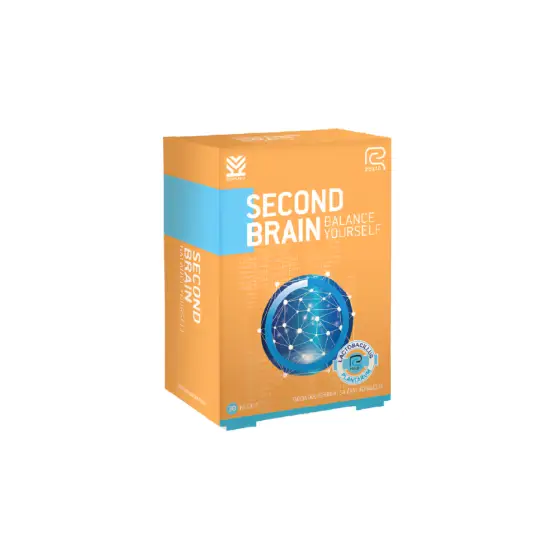 SECOND BRAIN QESE A30 photo 1